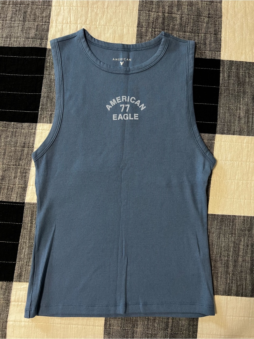 American Eagle Outfitters Dusty Blue Ribbed Muscle Tank with Chest Graphic